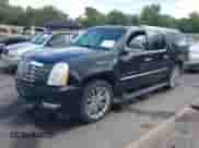 2009 Cadillac Escalade ESV with VIN 1GYFK26249R146364, listed as a IAAI auction lot 43054495 with 234,415 mi miles and . Bid and sale history available at DreamBid. Image 16.