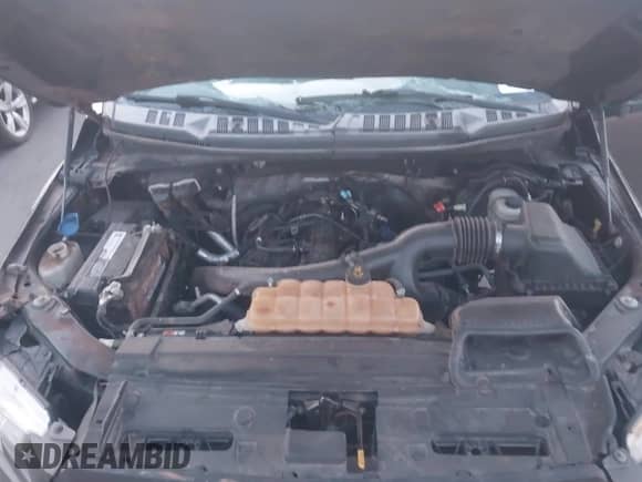 2015 Ford F-150 XLT with VIN 1FTFX1EG6FFB08131, listed as a IAAI auction lot 43210127 with 250,984 mi miles and . Bid and sale history available at DreamBid. Image 10.