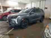 2024 Hyundai Palisade XRT с VIN KM8R34GE2RU790149, выставлен на аукционе Copart как лот 69274865 с пробегом 29 730 миль миль и Списание • Salvage title. История ставок и продаж доступна на DreamBid. Изображение 1.