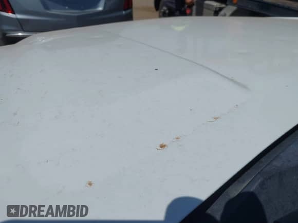 2007 Chevrolet Tahoe LT с VIN 1GNFC13097R282994, выставлен на аукционе IAAI как лот 42492963 с пробегом 234 855 миль миль и . История ставок и продаж доступна на DreamBid. Изображение 6.
