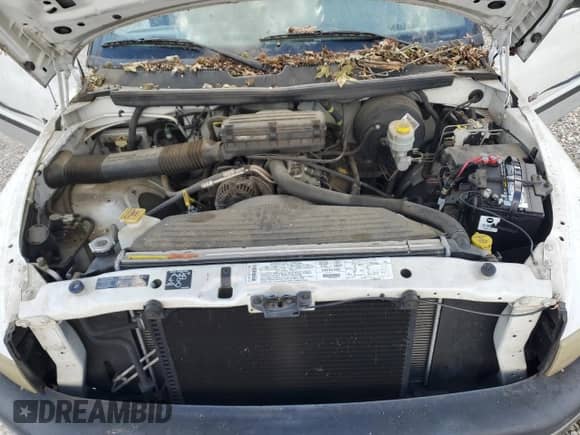 2001 Dodge 1500 с VIN 3B7HC13ZX1G221855, выставлен на аукционе Copart как лот 74005924 с пробегом 62 704 миль миль и Списание • Salvage title. История ставок и продаж доступна на DreamBid. Изображение 11.