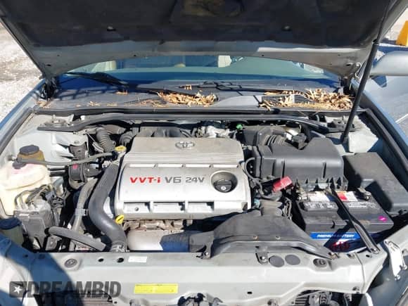 2005 Toyota Camry XLE с VIN 4T1BF30K85U594746, выставлен на аукционе IAAI как лот 43500535 с пробегом 173 307 миль миль и . История ставок и продаж доступна на DreamBid. Изображение 10.