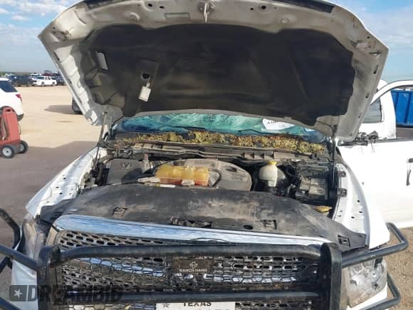 2015 Ram 1500 Laramie z VIN 1C6RR6NM8FS608705, wystawiony jako IAAI lot #43003891 z przebiegiem 182 486 mil mil oraz . Historia ofert i sprzedaży dostępna na DreamBid. Obrazek 10.