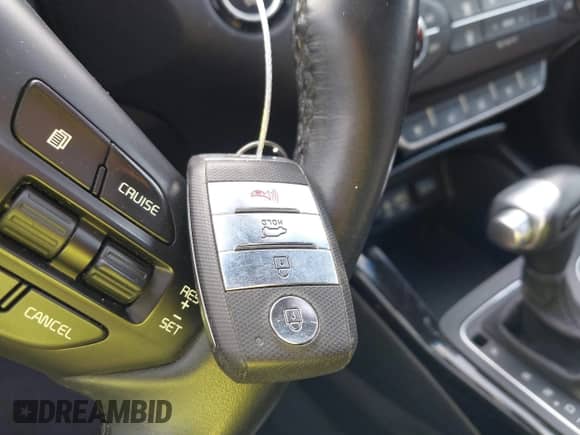 2016 Kia Sorento SXL with VIN 5XYPK4A50GG064666, listed as a IAAI auction lot 43248369 with 119,089 mi miles and . Bid and sale history available at DreamBid. Image 11.