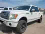 2011 Ford F-150 XL with VIN 1FTFW1EF3BFA45980, listed as a IAAI auction lot 42262248 with 155,882 mi miles and . Bid and sale history available at DreamBid. Image 17.