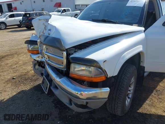 2003 Dodge Dakota SLT with VIN 1D7HG48N63S363780, listed as a IAAI auction lot 43429171 with 183,475 mi miles and . Bid and sale history available at DreamBid. Image 6.