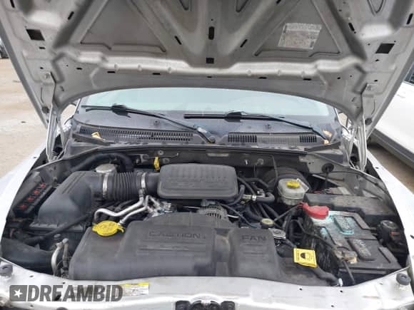 2004 Dodge Dakota SLT with VIN 1D7GL42K14S590088, listed as a IAAI auction lot 43106528 with 146,441 mi miles and . Bid and sale history available at DreamBid. Image 10.