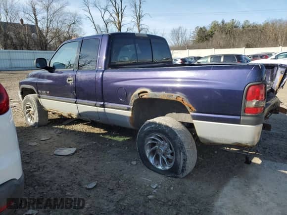 1999 Dodge 1500 with VIN 1B7HF13Y9XJ530433, listed as a Copart auction lot 48067765 with 159,559 mi miles and Non repairable. Bid and sale history available at DreamBid. Image 2.