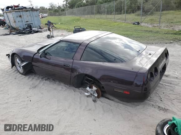1994 Chevrolet Corvette with VIN 1G1YY22PXR5104229, listed as a Copart auction lot 74204594 with Not provided miles and Salvage title. Bid and sale history available at DreamBid. Image 2.