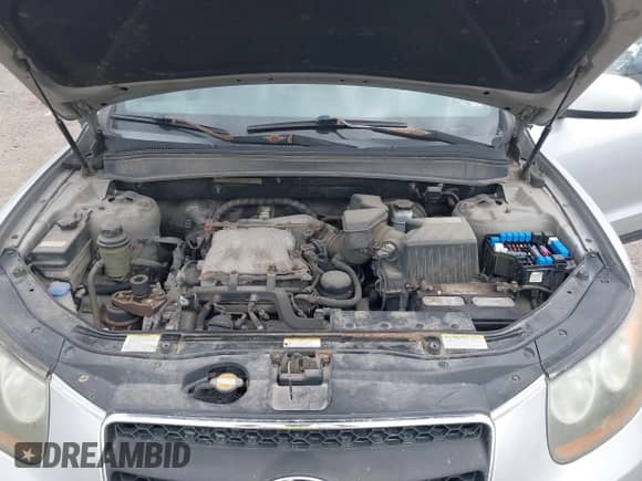 2007 Hyundai Santa Fe SE with VIN 5NMSH73E17H003128, listed as a IAAI auction lot 43151829 with 118,477 mi miles and . Bid and sale history available at DreamBid. Image 10.