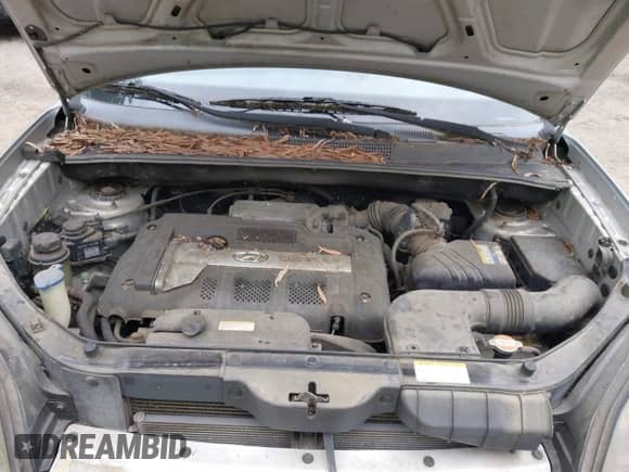2007 Hyundai Tucson GLS с VIN KM8JM12B17U619136, выставлен на аукционе IAAI как лот 42487011 с пробегом 168 275 миль миль и . История ставок и продаж доступна на DreamBid. Изображение 10.