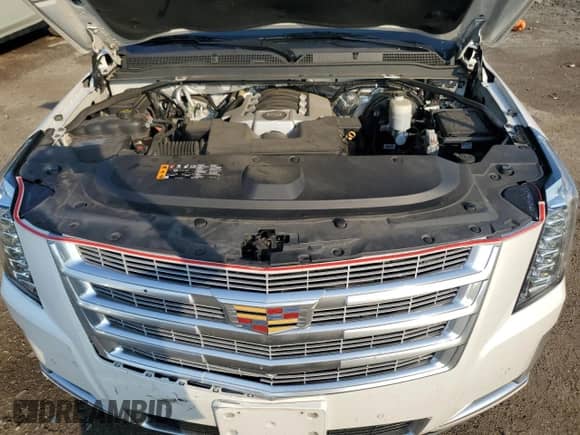 2017 Cadillac Escalade ESV Luxury с VIN 1GYS4HKJ5HR224285, выставлен на аукционе Copart как лот 62563795 с пробегом 136 011 миль миль и Списание • Salvage title. История ставок и продаж доступна на DreamBid. Изображение 12.