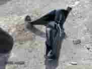 2019 Chevrolet Silverado 1500 RST с VIN 3GCPWDED4KG238898, выставлен на аукционе Copart как лот 70602455 с пробегом Не указан миль и На запчасти • Non repairable. История ставок и продаж доступна на DreamBid. Изображение 12.