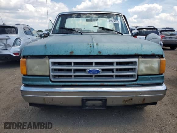 1990 Ford F-150 z VIN 1FTDF15Y7LPA18219, wystawiony jako Copart lot #61424875 z przebiegiem 466 241 mil mil oraz Szkoda całkowita • Salvage title. Historia ofert i sprzedaży dostępna na DreamBid. Obrazek 5.