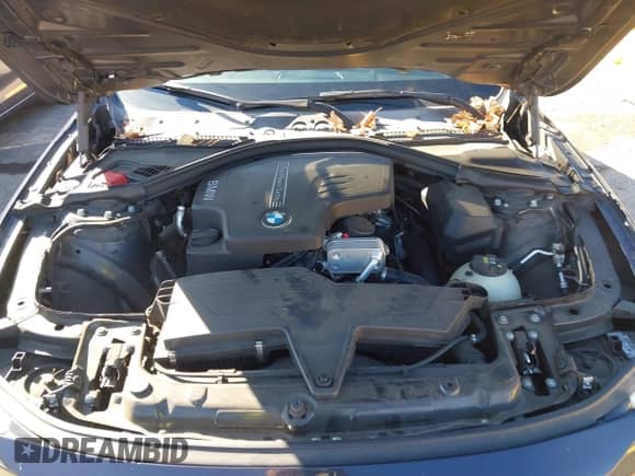 2016 BMW 3 Series 320i with VIN WBA8E1G5XGNU11637, listed as a IAAI auction lot 43366420 with 116,127 mi miles and . Bid and sale history available at DreamBid. Image 10.