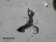 2014 Chevrolet Impala Police Police с VIN 2G1WD5E33E1150056, выставлен на аукционе Copart как лот 43977395 с пробегом 124 172 миль миль и Списание • Salvage title. История ставок и продаж доступна на DreamBid. Изображение 12.