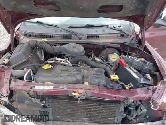 2001 Dodge Dakota Sport with VIN 1B7GL2AX01S184116, listed as a IAAI auction lot 42116550 with 178,575 mi miles and . Bid and sale history available at DreamBid. Image 10.