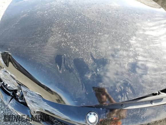 2005 BMW Z4 3.0i с VIN 4USBT53575LT29105, выставлен на аукционе Copart как лот 56063165 с пробегом 84 800 миль миль и Списание • Salvage title. История ставок и продаж доступна на DreamBid. Изображение 11.