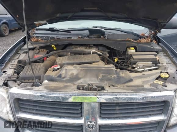 2007 Dodge Durango SLT with VIN 1D8HB482X7F561552, listed as a IAAI auction lot 41462456 with Not provided miles and . Bid and sale history available at DreamBid. Image 10.