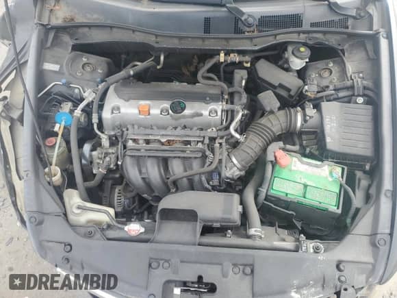 2009 Honda Accord LX with VIN 1HGCP26389A115671, listed as a Copart auction lot 80738245 with 235,712 mi miles and Salvage title. Bid and sale history available at DreamBid. Image 11.