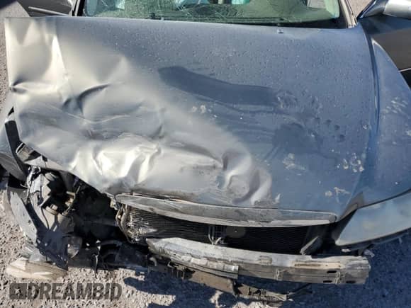 2008 Hyundai Azera Limited z VIN KMHFC46F68A265236, wystawiony jako Copart lot #67547515 z przebiegiem 161 170 mil mil oraz Szkoda całkowita • Salvage title. Historia ofert i sprzedaży dostępna na DreamBid. Obrazek 11.