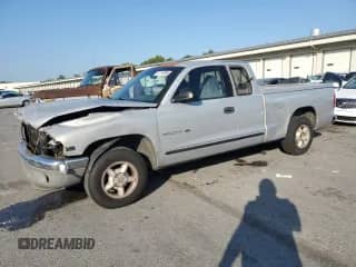 1999 Dodge Dakota SLT with VIN 1B7GL22X0XS108886, listed as a Copart auction lot 81113005 with 188,072 mi miles and Salvage title. Bid and sale history available at DreamBid. Image 1.