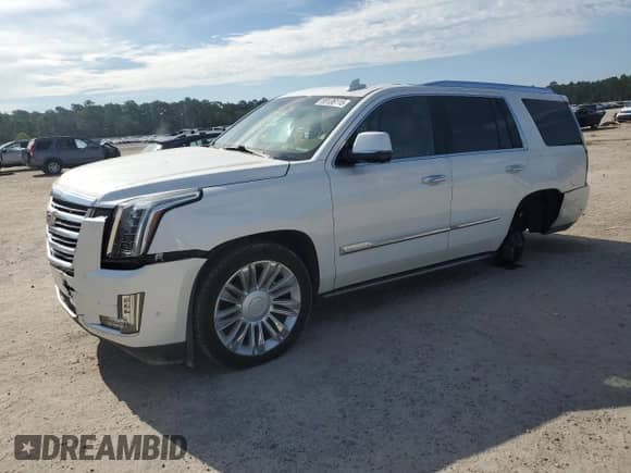 2017 Cadillac Escalade Platinum with VIN 1GYS4DKJ1HR246650, listed as a Copart auction lot 69136115 with 131,016 mi miles and Salvage title. Bid and sale history available at DreamBid. Image 1.
