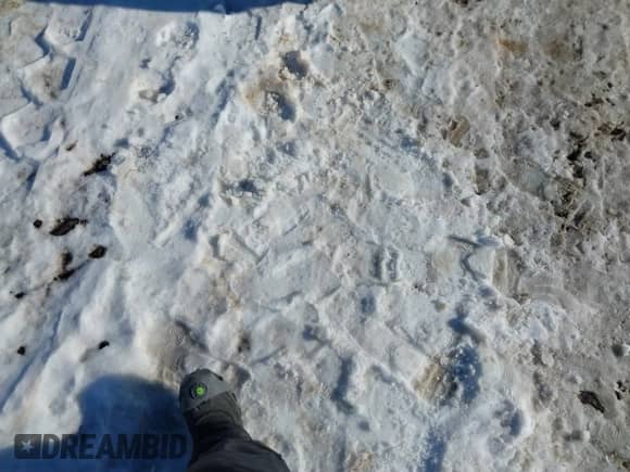 2002 Chevrolet TrailBlazer LS with VIN 1GNDT13S422356784, listed as a IAAI auction lot 41329655 with 122,525 mi miles and . Bid and sale history available at DreamBid. Image 16.