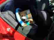 2014 Chevrolet Sonic LT с VIN 1G1JC5SH2E4110651, выставлен на аукционе Copart как лот 86294375 с пробегом 108 368 миль миль и Списание • Salvage title. История ставок и продаж доступна на DreamBid. Изображение 10.