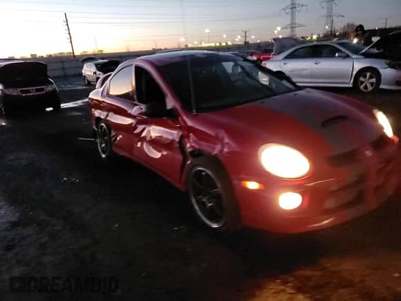 2005 Dodge Neon SRT-4 with VIN 1B3ES66S05D259861, listed as a Copart auction lot 43053435 with 57,141 mi miles and Salvage title. Bid and sale history available at DreamBid. Image 11.