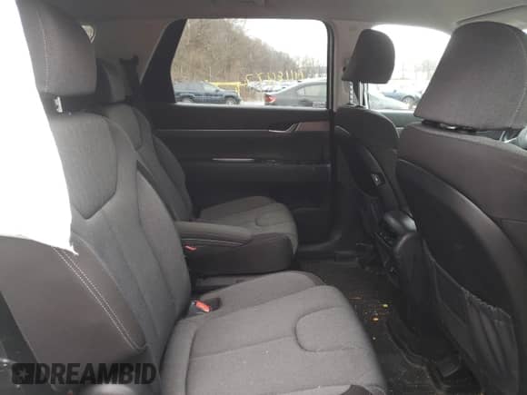 2020 Hyundai Palisade SEL с VIN KM8R2DHE9LU143496, выставлен на аукционе Copart как лот 71118472 с пробегом 33 140 миль миль и . История ставок и продаж доступна на DreamBid. Изображение 11.