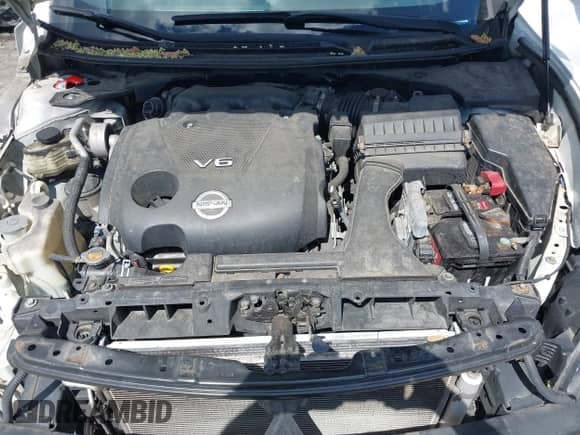 2013 Nissan Maxima S with VIN 1N4AA5AP5DC815587, listed as a IAAI auction lot 43043057 with 80,208 mi miles and . Bid and sale history available at DreamBid. Image 10.