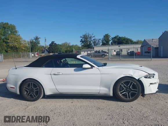 2023 Ford Mustang EcoBoost with VIN 1FATP8UH4P5105036, listed as a IAAI auction lot 43357689 with 61,296 mi miles and . Bid and sale history available at DreamBid. Image 13.