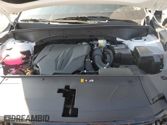 2025 Kia Sorento X-Line EX with VIN 5XYRHDJF8SG393639, listed as a Copart auction lot 81247785 with 302 mi miles and Salvage title. Bid and sale history available at DreamBid. Image 12.