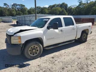 2011 Chevrolet Silverado 1500 Work Truck with VIN 1GCPKPE39BF162021, listed as a Copart auction lot 85327465 with 289,837 mi miles and Salvage title. Bid and sale history available at DreamBid. Image 1.