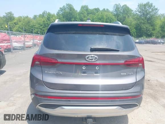 2022 Hyundai Santa Fe Limited with VIN KM8S7DA24NU013339, listed as a IAAI auction lot 42389117 with 56,291 mi miles and . Bid and sale history available at DreamBid. Image 17.