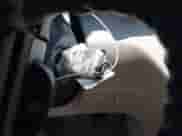 2012 Honda Odyssey Touring с VIN 5FNRL5H99CB115300, выставлен на аукционе IAAI как лот 42890660 с пробегом 120 808 миль миль и . История ставок и продаж доступна на DreamBid. Изображение 11.