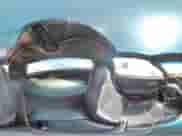 1997 Chevrolet Corvette z VIN 1G1YY22G6V5104691, wystawiony jako Copart lot #53398085 z przebiegiem Nie podano mil oraz Nie do naprawy • Non repairable. Historia ofert i sprzedaży dostępna na DreamBid. Obrazek 13.