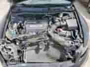 2009 Honda Accord LX with VIN 1HGCP26359A182051, listed as a Copart auction lot 59720665 with Not provided miles and Salvage title. Bid and sale history available at DreamBid. Image 11.