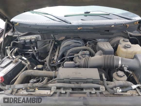 2009 Ford F-150 XL with VIN 1FTRW12839FA91872, listed as a IAAI auction lot 43035638 with 121,818 mi miles and . Bid and sale history available at DreamBid. Image 10.