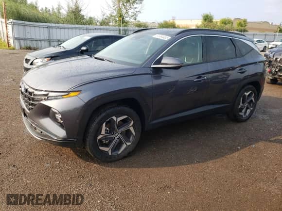 2023 Hyundai Tucson Luxury with VIN KM8JCCA17PU124902, listed as a Copart auction lot 61894453 with 771 mi miles and . Bid and sale history available at DreamBid. Image 1.