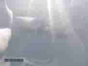 2006 Chevrolet Silverado 1500 Work Truck с VIN 3GCEK14V46G251278, выставлен на аукционе IAAI как лот 42353230 с пробегом 88 084 миль миль и . История ставок и продаж доступна на DreamBid. Изображение 11.