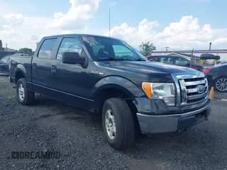 2010 Ford F-150 XL with VIN 1FTEW1E85AFC37042, listed as a IAAI auction lot 42629730 with 195,760 mi miles and . Bid and sale history available at DreamBid. Image 1.