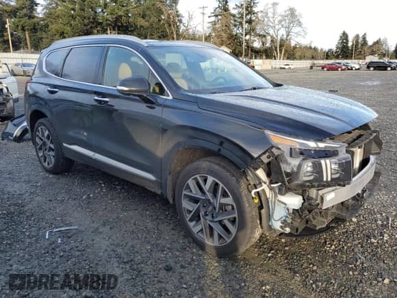 2022 Hyundai Santa Fe Calligraphy с VIN 5NMS5DAL5NH453791, выставлен на аукционе Copart как лот 80782324 с пробегом 37 109 миль миль и Списание • Salvage title. История ставок и продаж доступна на DreamBid. Изображение 4.