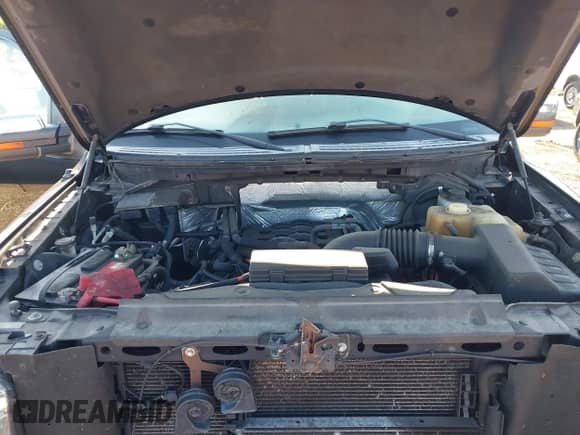 2011 Ford F-150 Lariat z VIN 1FTFW1EF3BFB39941, wystawiony jako IAAI lot #43136003 z przebiegiem 162 564 mil mil oraz . Historia ofert i sprzedaży dostępna na DreamBid. Obrazek 10.