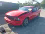 2005 Ford Mustang Deluxe with VIN 1ZVFT80N955239002, listed as a IAAI auction lot 42837564 with 144,388 mi miles and . Bid and sale history available at DreamBid. Image 2.