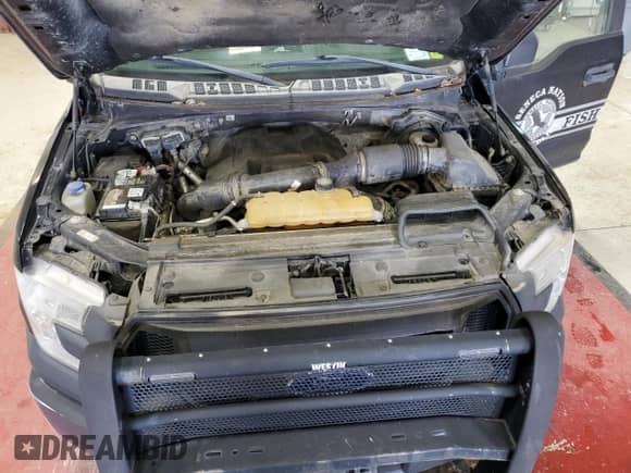 2017 Ford F-150 XL with VIN 1FTFW1EG4HFA88449, listed as a Copart auction lot 82377905 with 195,200 mi miles and Clean title. Bid and sale history available at DreamBid. Image 12.