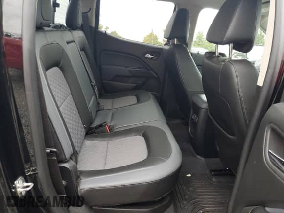 2019 Chevrolet Colorado 4WD Z71 with VIN 1GCGTDENXK1340397, listed as a Copart auction lot 80389875 with 50,662 mi miles and Salvage title. Bid and sale history available at DreamBid. Image 10.