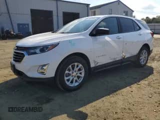 2019 Chevrolet Equinox LS with VIN 2GNAXSEV1K6232611, listed as a Copart auction lot 81257095 with 47,451 mi miles and Salvage title. Bid and sale history available at DreamBid. Image 1.