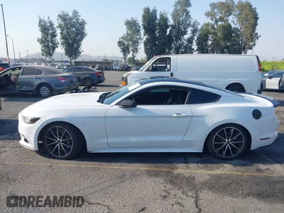 2017 Ford Mustang EcoBoost with VIN 1FA6P8TH8H5344749, listed as a IAAI auction lot 42974115 with 85,969 mi miles and . Bid and sale history available at DreamBid. Image 14.